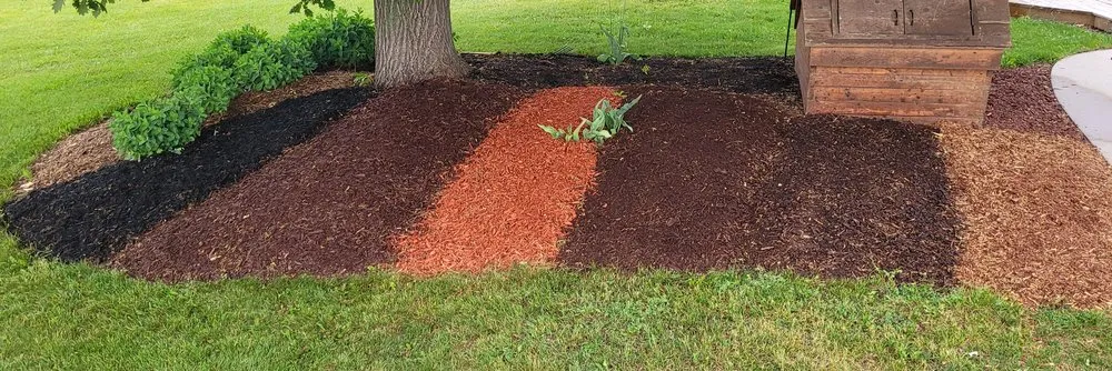 Top-rated landscaping services in Sheboygan, WI - A & M Trees