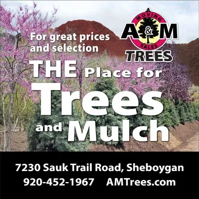 A & M Trees Logo