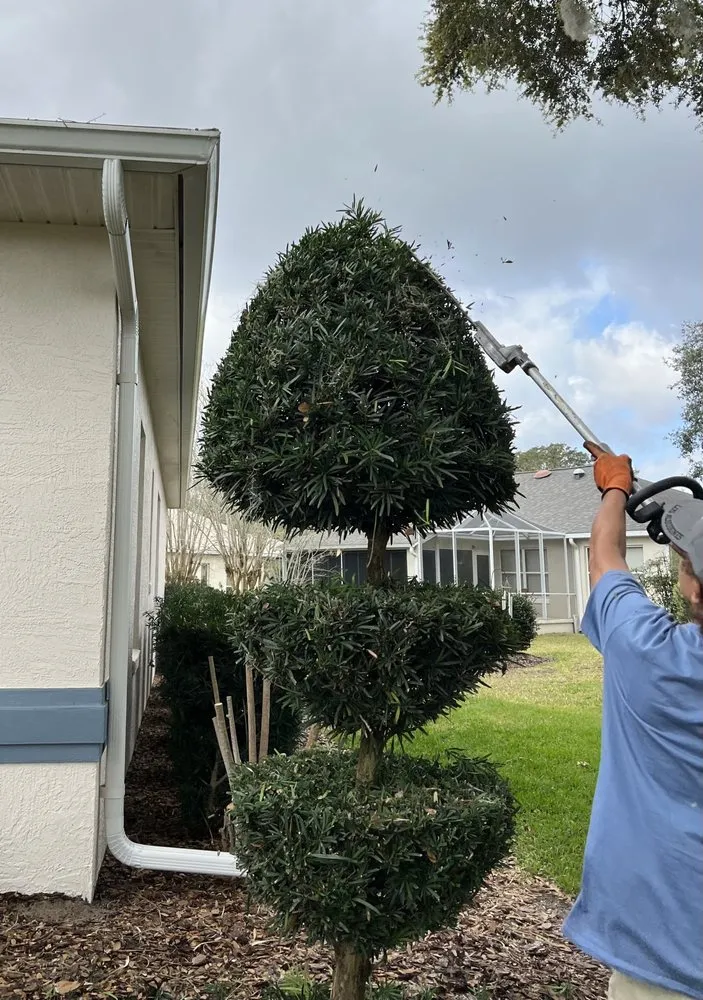 Custom yard maintenance for homes across Lady Lake, FL - A & M's Painting & Lawn Care