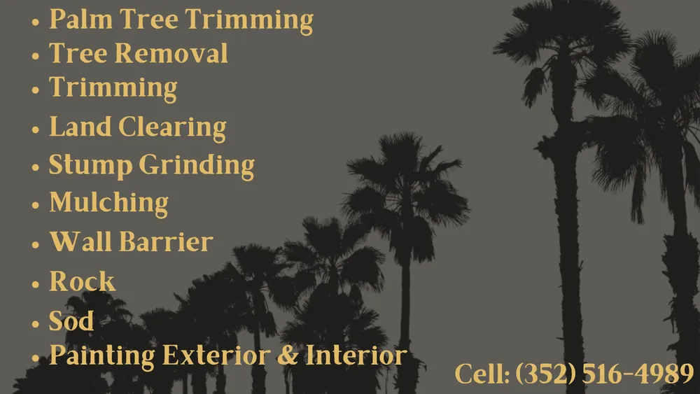 Expert landscaping services experts serving Lady Lake, FL - A & M's Painting & Lawn Care