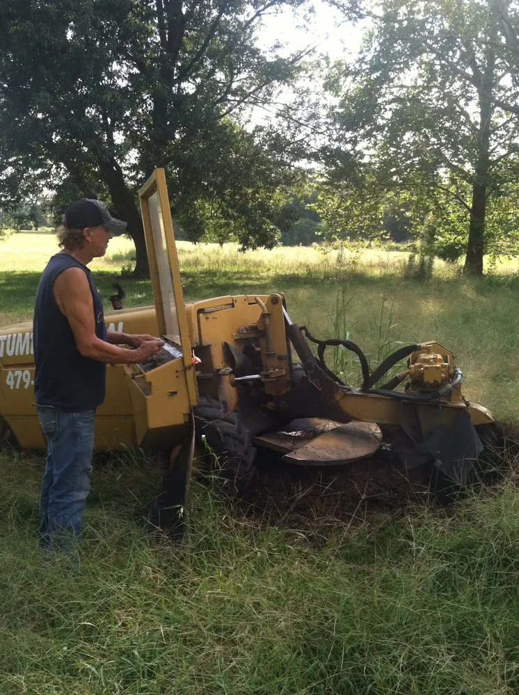 Expert landscaping services in Hartman, AR - A & N Tree Service & Stump Grinding