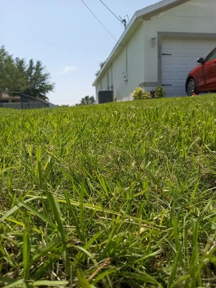 Custom yard maintenance near you in Cape Coral, FL by A & O Lawn and Property Maintenance