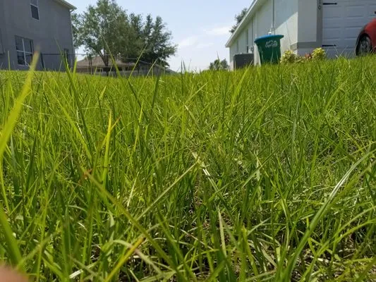 A & O Lawn and Property Maintenance Logo