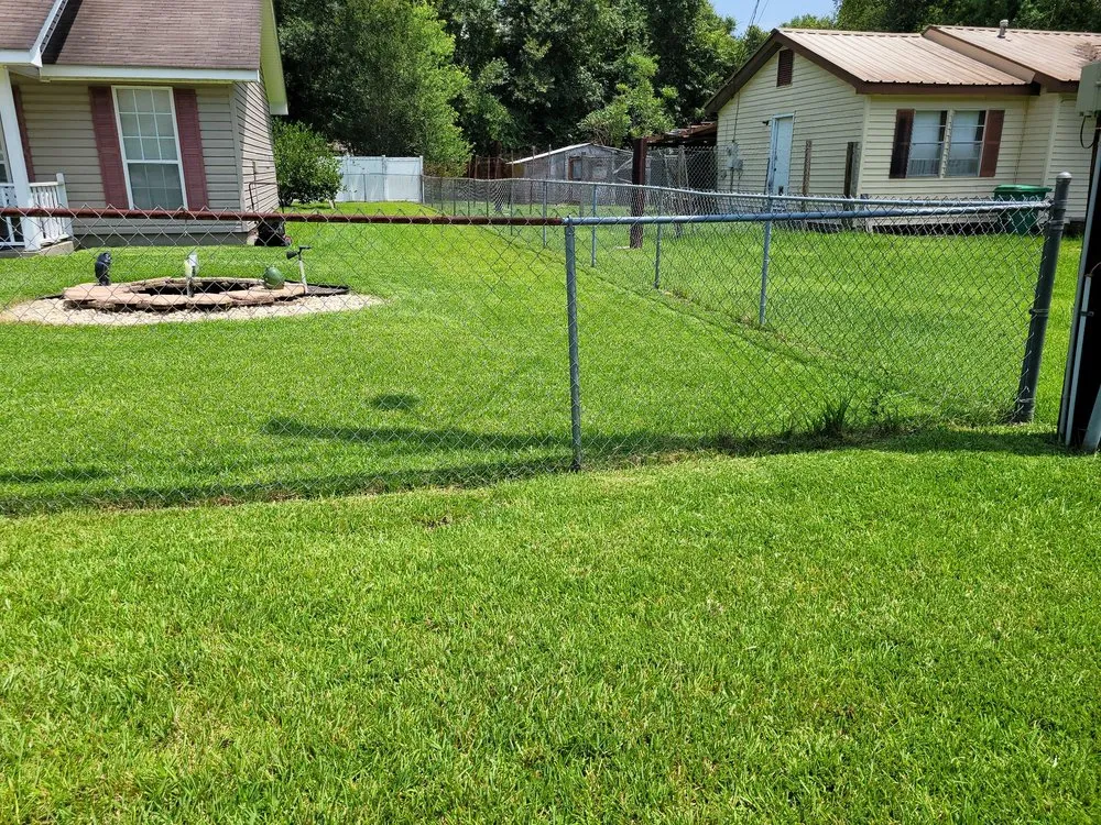 Top-rated yard cleanup service experts serving Picayune, MS - A & P Lawn Services