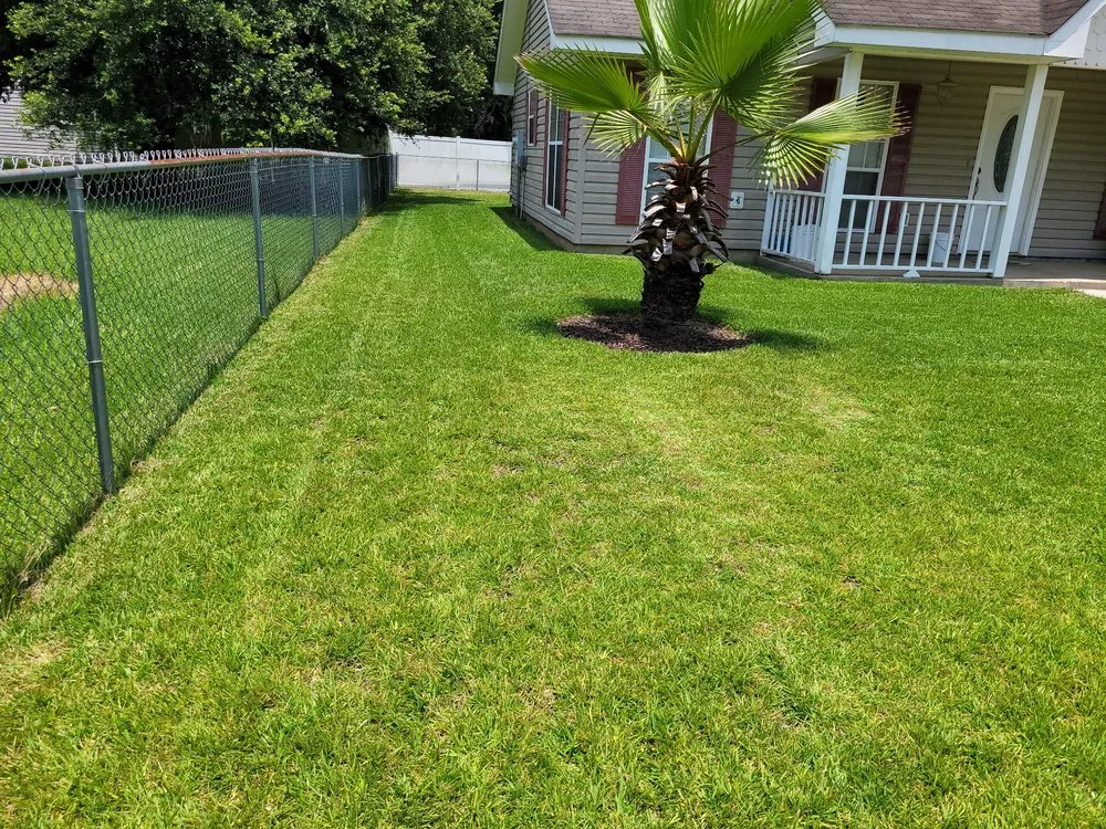 Affordable landscaping services for outdoor upgrades across Picayune, MS - A & P Lawn Services