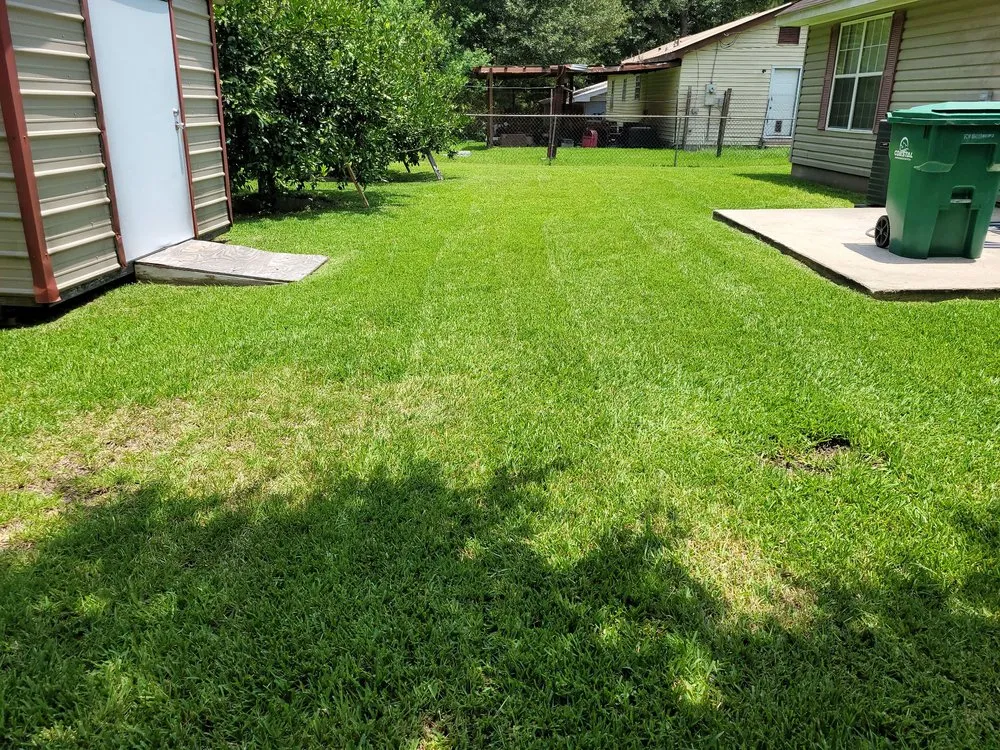 Professional landscape design for beautiful yards across Picayune, MS - A & P Lawn Services