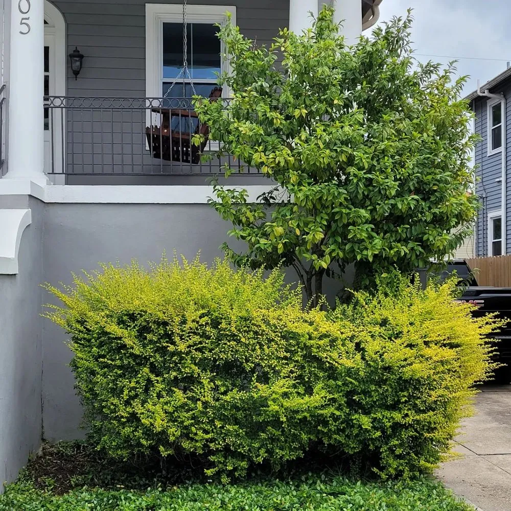 Reliable landscaping services in Picayune, MS - A & P Lawn Services