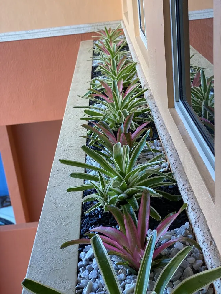 Trusted yard maintenance in Fort Worth, TX - A & R Landscaping