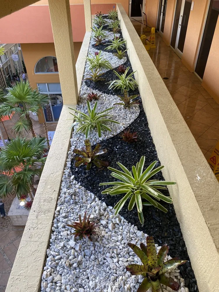 Affordable lawn care service for beautiful yards across Fort Worth, TX - A & R Landscaping