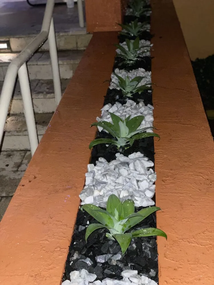 Professional landscape design in Fort Worth, TX - A & R Landscaping