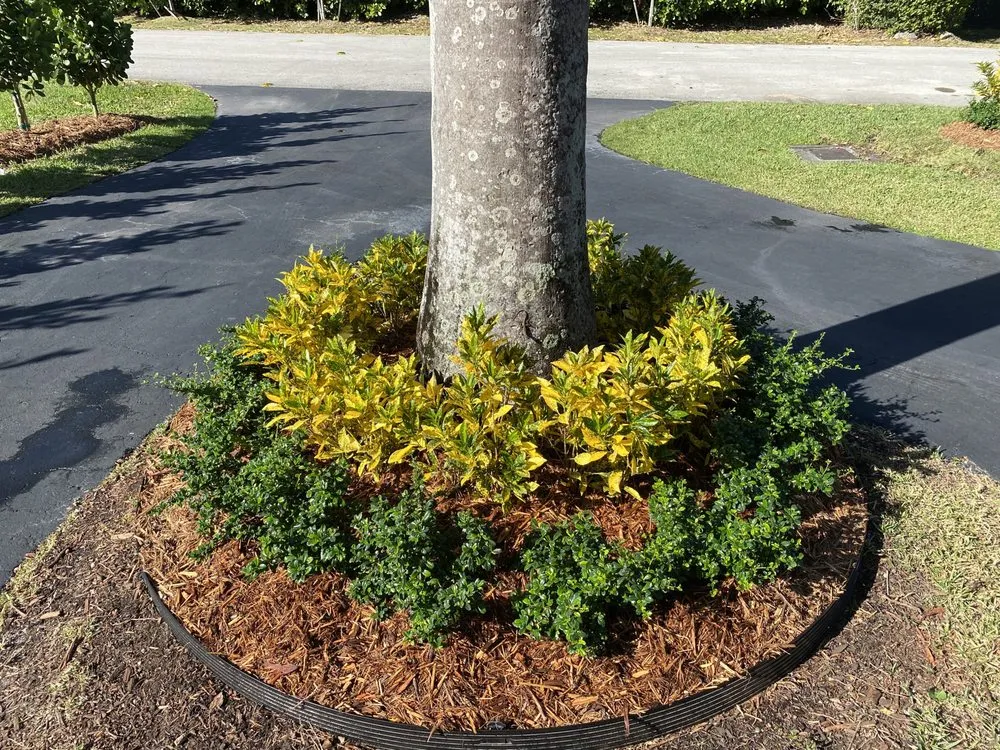 Top-rated residential landscaping near you in Fort Worth, TX by A & R Landscaping