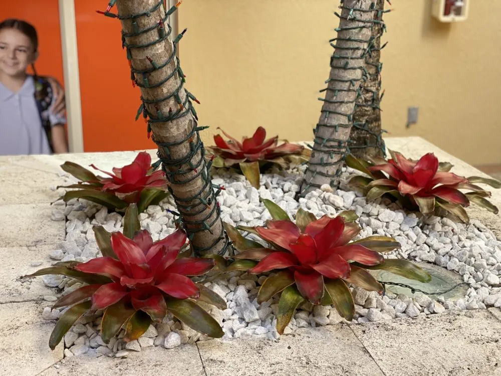 Expert landscaping services in Fort Worth, TX - A & R Landscaping