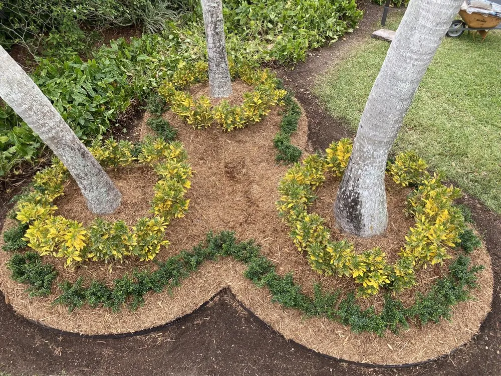 Local yard cleanup service in Fort Worth, TX - A & R Landscaping