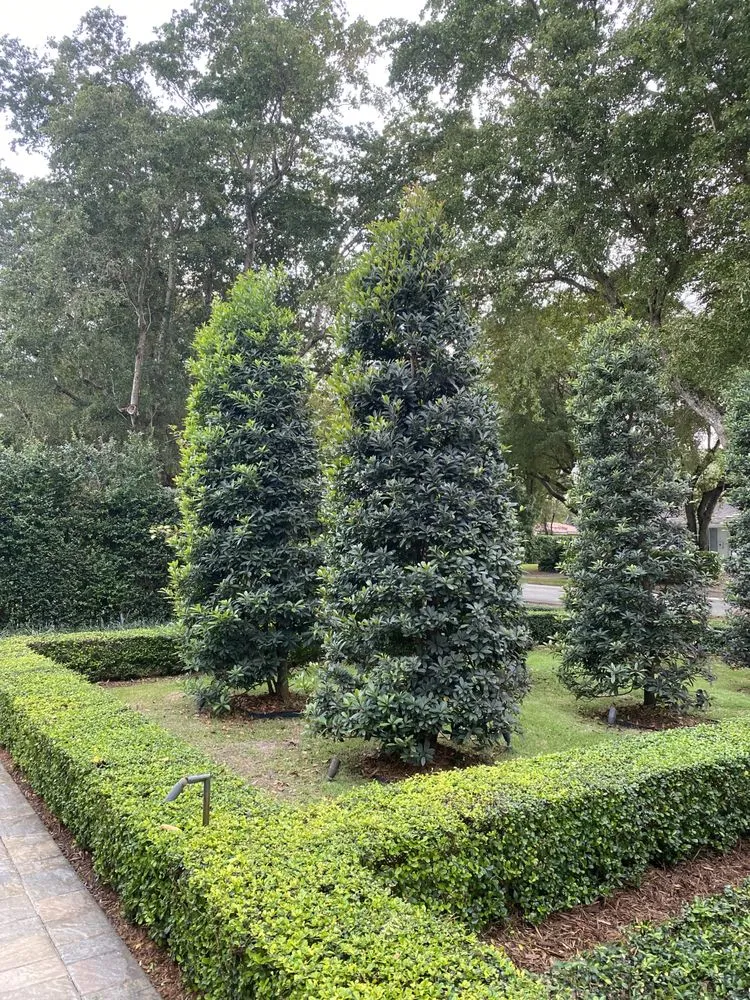 Custom landscaping services for beautiful yards in Fort Worth, TX by A & R Landscaping