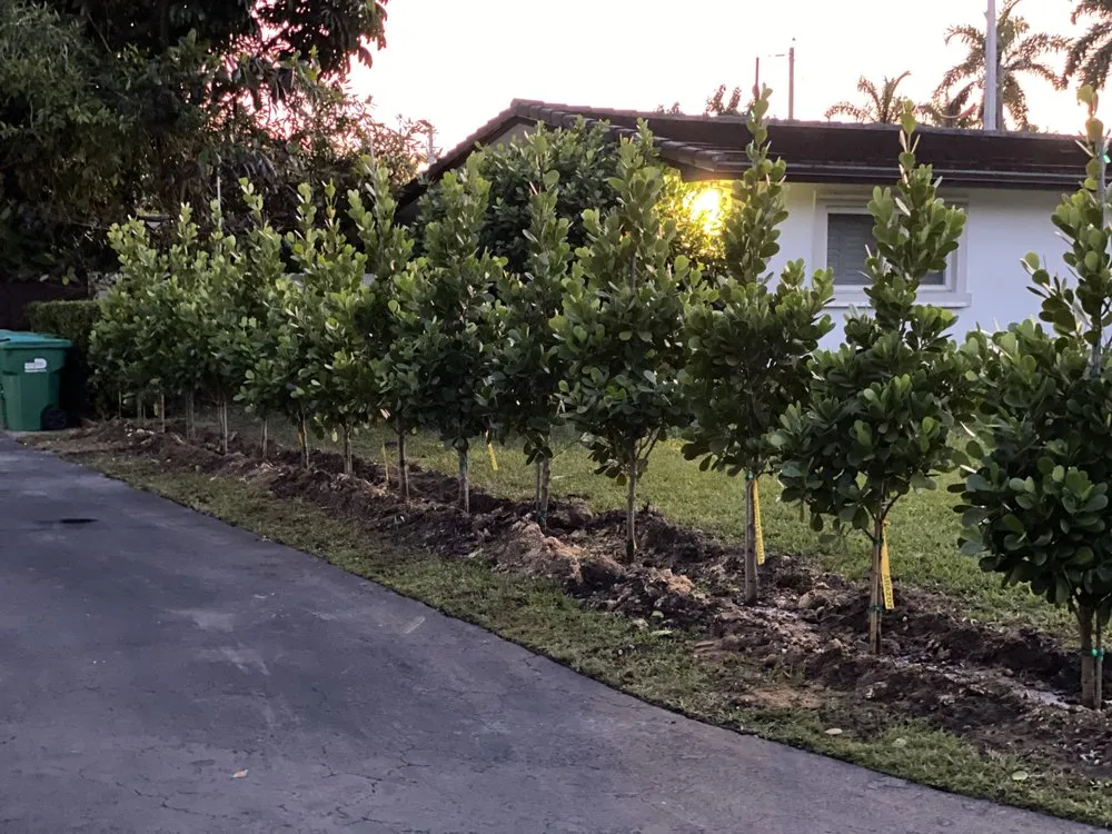 Expert lawn care service experts serving Fort Worth, TX - A & R Landscaping