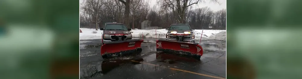 Expert yard cleanup service with custom design in Taylor, MI by A & R Lawn Care