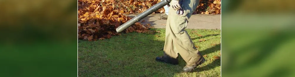 Trusted yard maintenance for beautiful yards across Taylor, MI - A & R Lawn Care