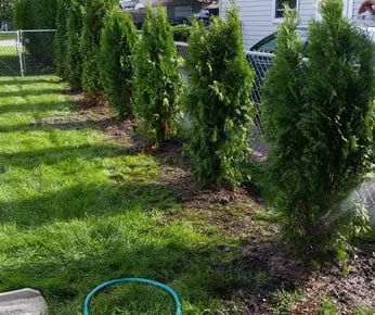 Affordable landscape installation for residential properties in Taylor, MI by A & R Lawn Care