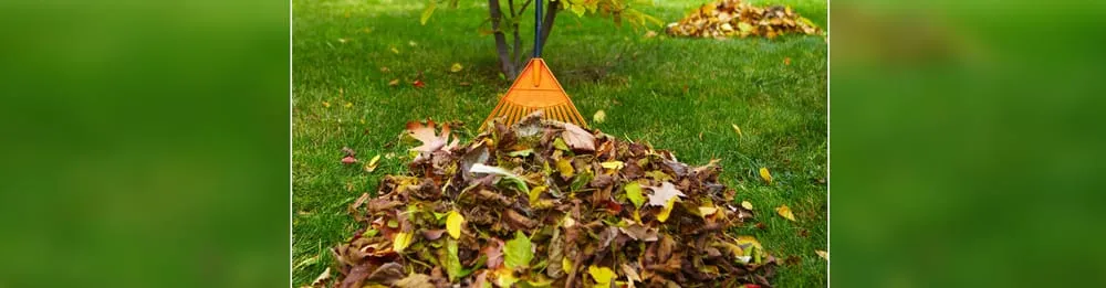 Custom lawn care service for outdoor upgrades across Taylor, MI - A & R Lawn Care