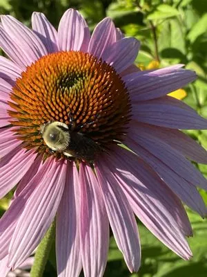 A & R Masonry & Landscape Design Logo