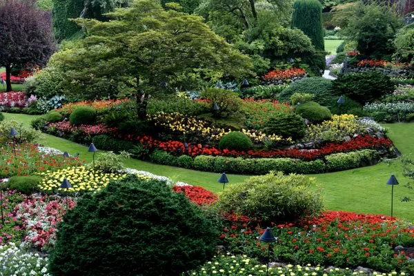 A & R Tree Service and Landscaping Logo