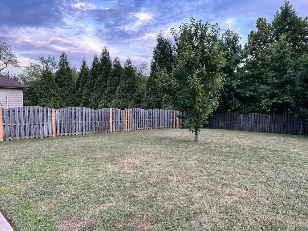 Affordable yard maintenance with custom design across Harvest, AL - A & S Lawn Service and Junk Removal