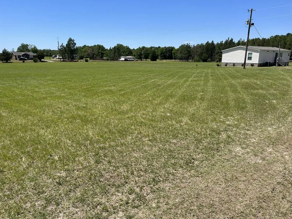 Reliable yard maintenance experts serving Bishopville, SC - A & S Lawncare