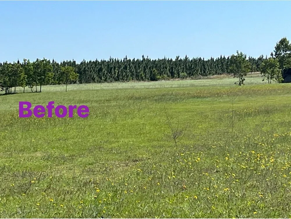 Local lawn mowing service in Bishopville, SC by A & S Lawncare