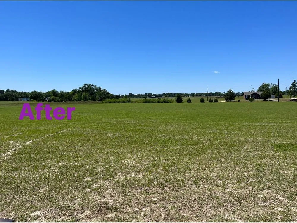 Affordable yard maintenance with custom design in Bishopville, SC by A & S Lawncare