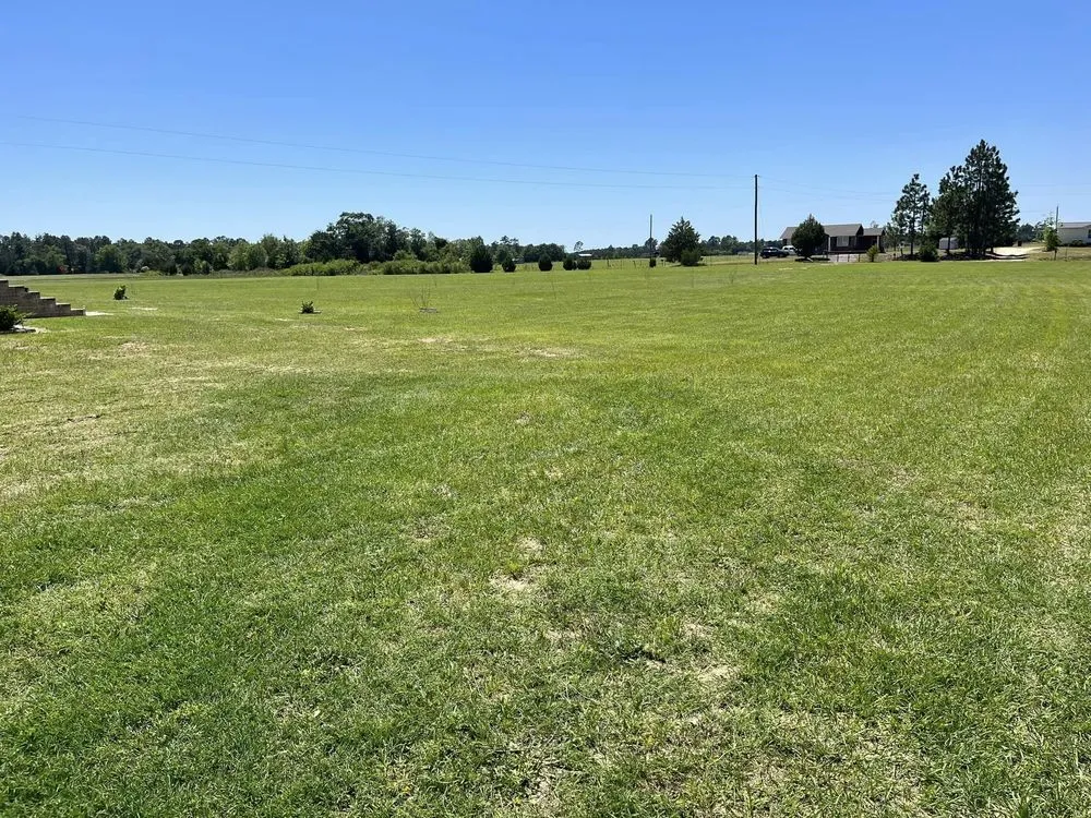 Local landscaping services for year-round maintenance in Bishopville, SC by A & S Lawncare