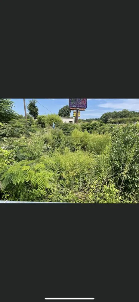 Affordable yard maintenance in Kalamazoo, MI - A & S Property Maintenance