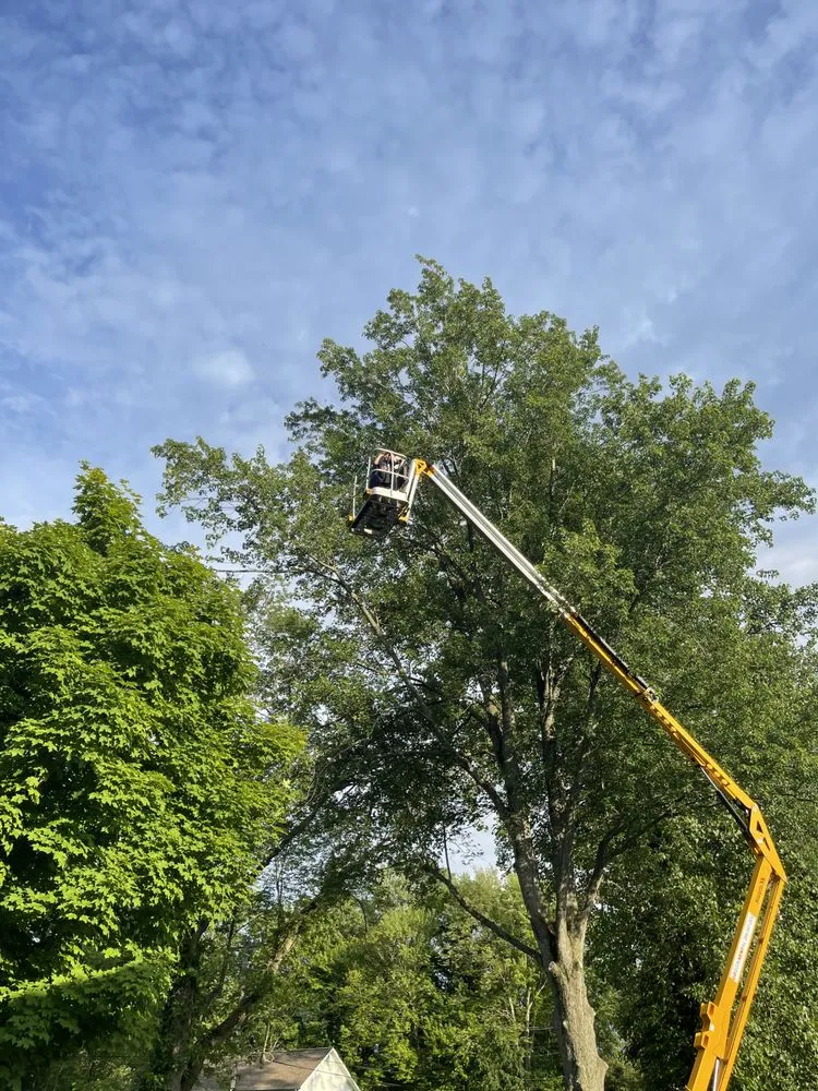 Affordable lawn care service for year-round maintenance across Kalamazoo, MI - A & S Property Maintenance