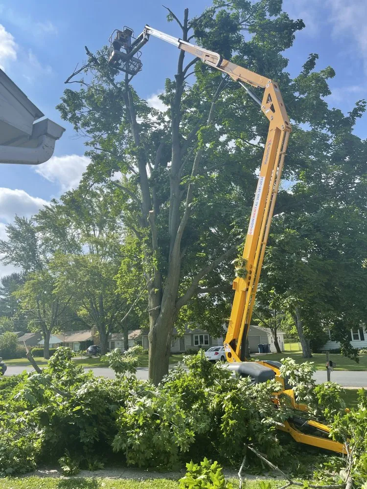 Local landscaping services in Kalamazoo, MI by A & S Property Maintenance