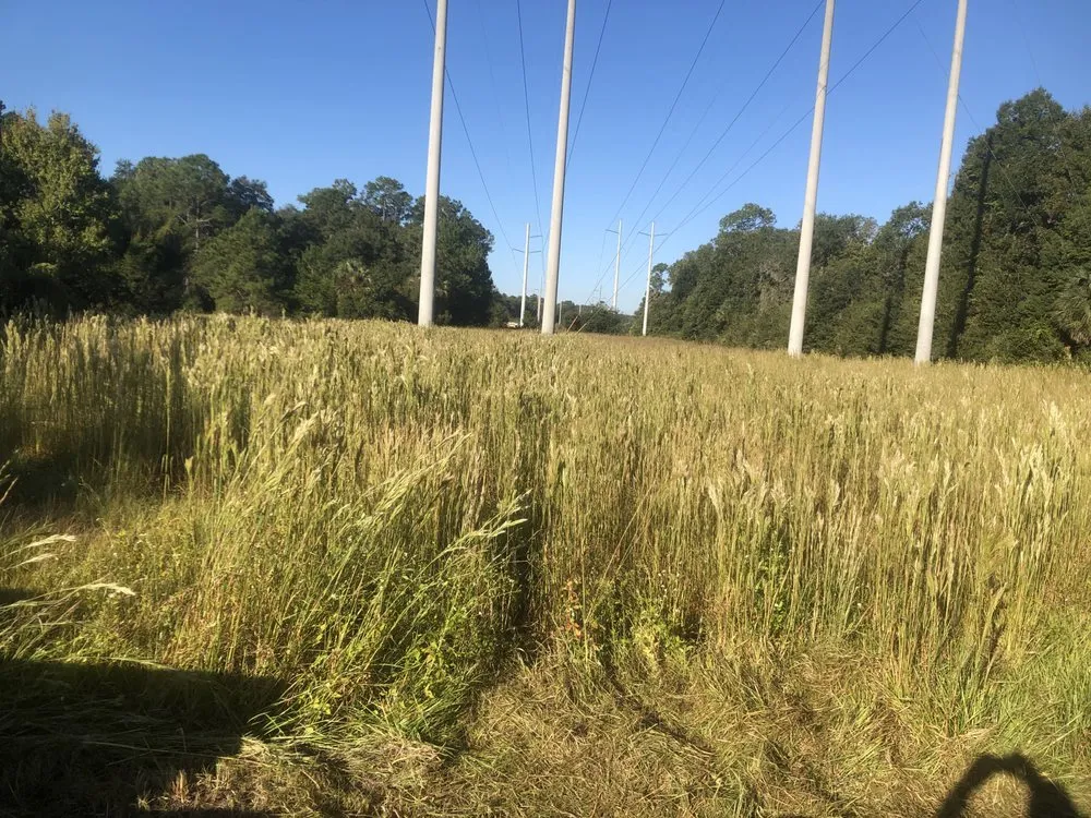 Trusted lawn care service experts serving Middleburg, FL - A & S Tractor Work and Woodcrafts