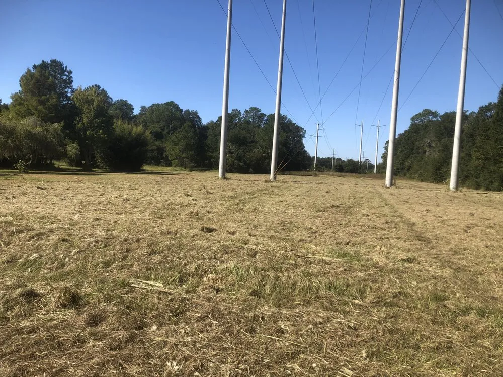 Professional residential landscaping in Middleburg, FL by A & S Tractor Work and Woodcrafts