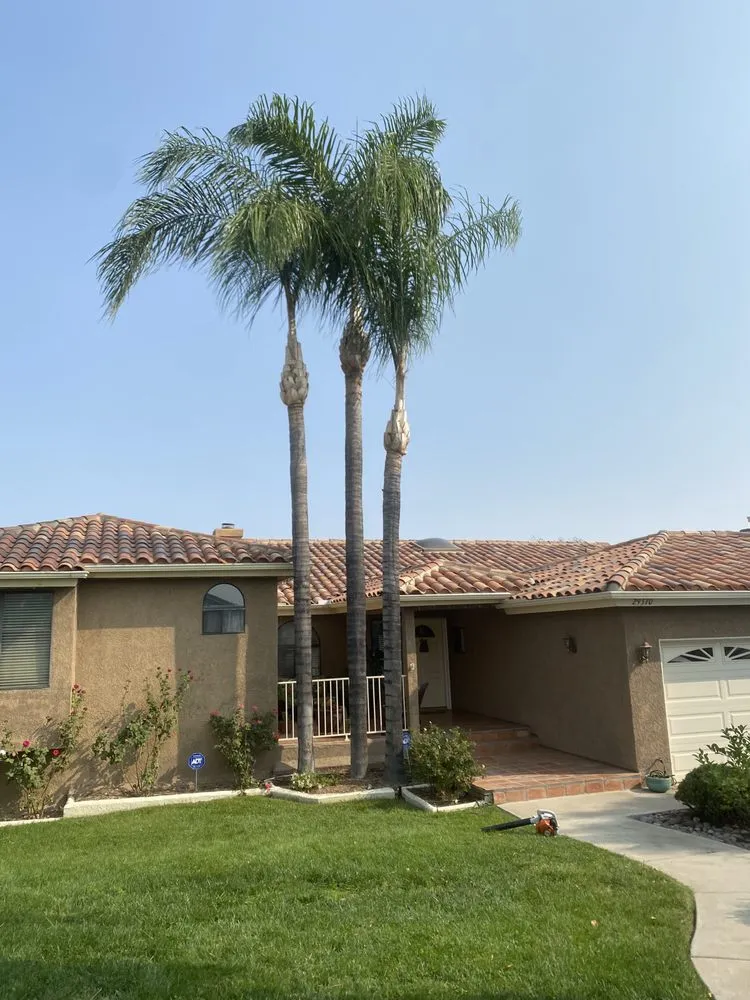 Reliable landscape installation in Canyon Lake, CA by A & S Tree Care