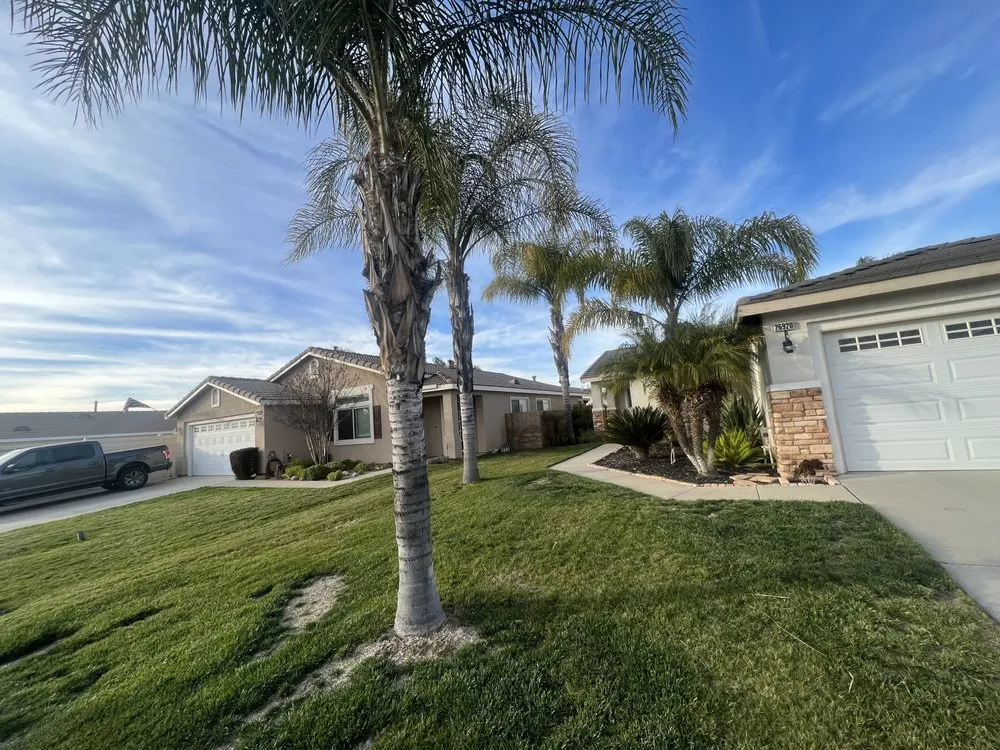 Professional residential landscaping with custom design across Canyon Lake, CA - A & S Tree Care