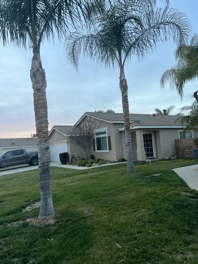 Affordable garden landscaping for year-round maintenance in Canyon Lake, CA by A & S Tree Care