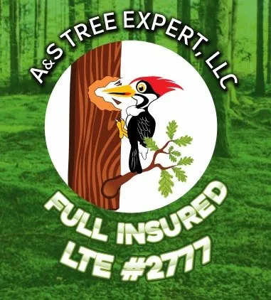 Affordable lawn care service experts serving Middletown, MD - A & S Tree Care