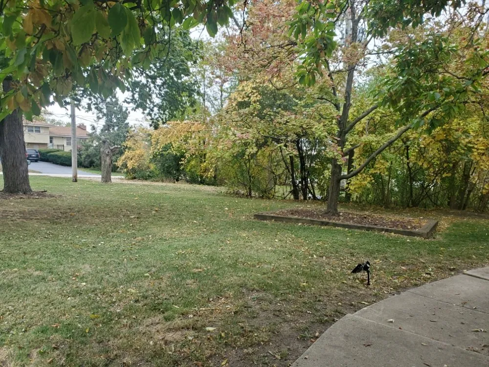 Reliable landscaping services experts serving Lombard, IL - A & Son's Lawn Care