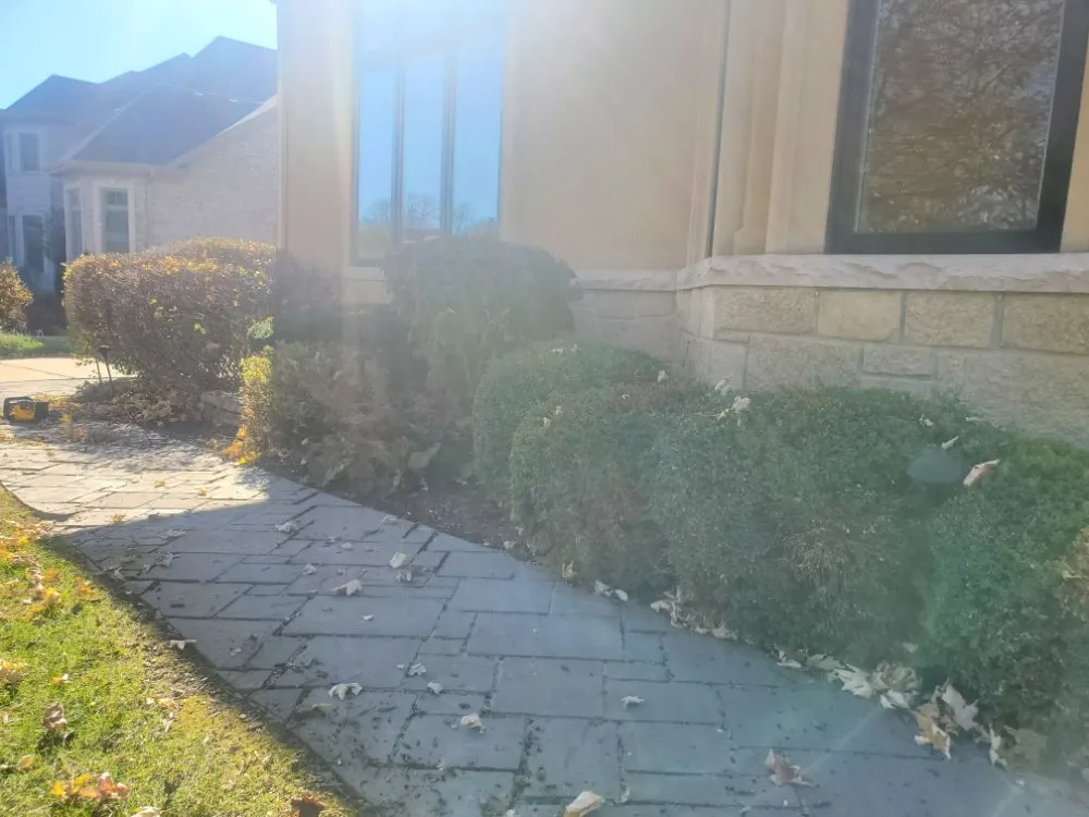 Affordable lawn care service near you across Lombard, IL - A & Son's Lawn Care