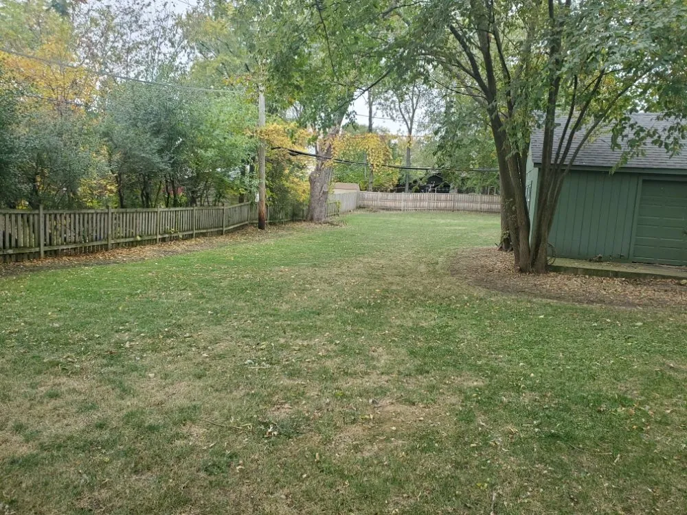 Custom yard maintenance in Lombard, IL by A & Son's Lawn Care