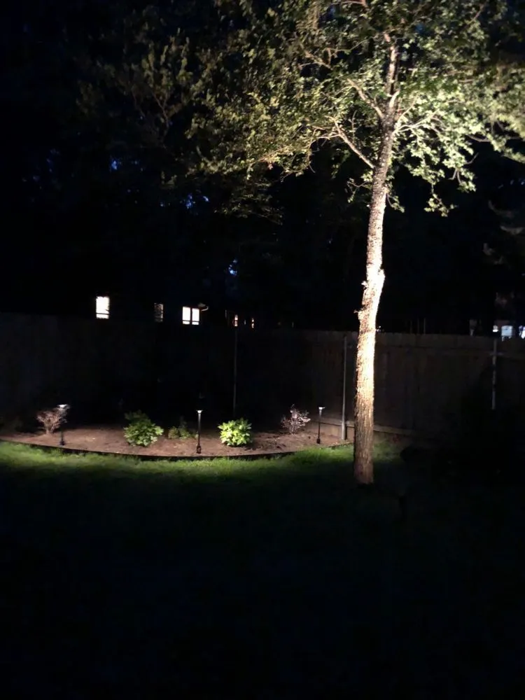 Affordable yard maintenance in Austin, TX by A + Sprinklers & Landscape