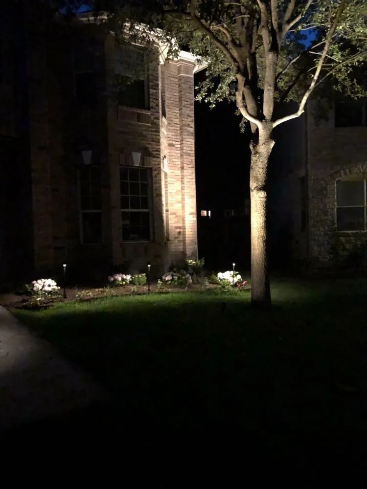 Expert lawn care service in Austin, TX - A + Sprinklers & Landscape