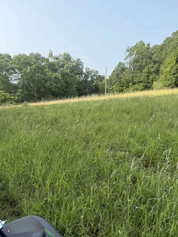 Trusted landscaping services near you across Starr, SC - A & T Handyman