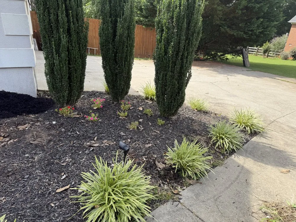 Custom yard cleanup service for year-round maintenance in Starr, SC by A & T Handyman