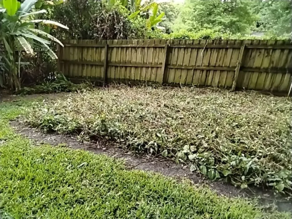 Custom lawn care service experts serving Eatonville, FL - A & T Lawn Care Services of Central Florida