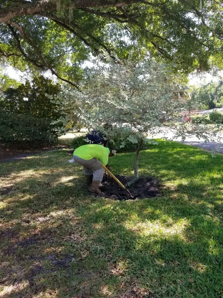 Trusted yard cleanup service for homes across Eatonville, FL - A & T Lawn Care Services of Central Florida