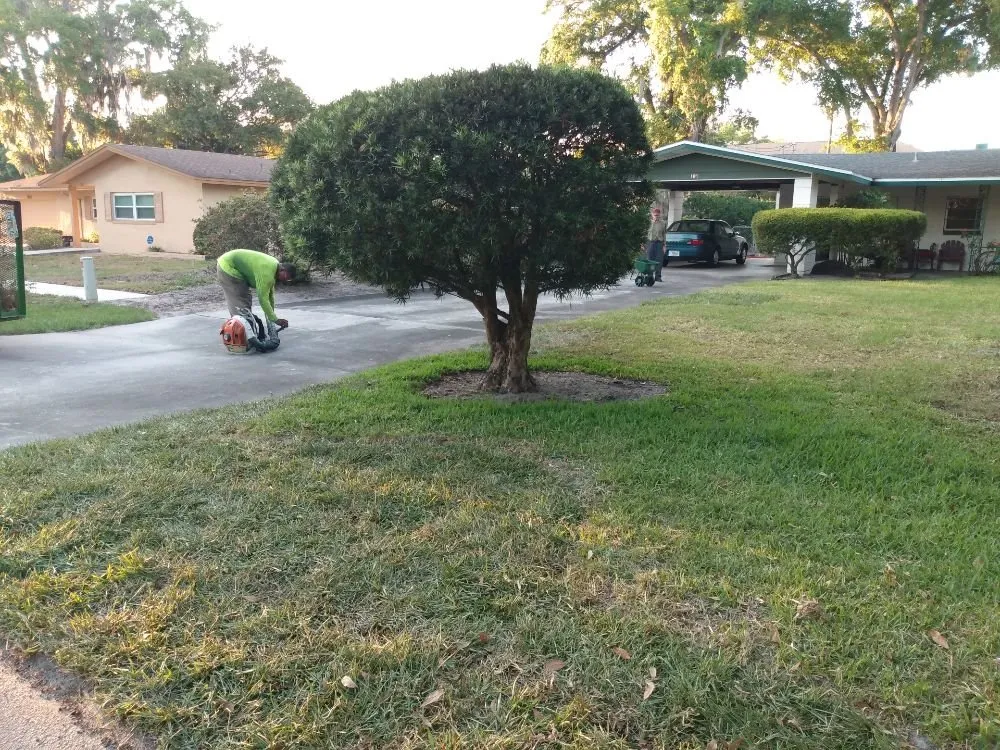 Local landscaping services in Eatonville, FL by A & T Lawn Care Services of Central Florida