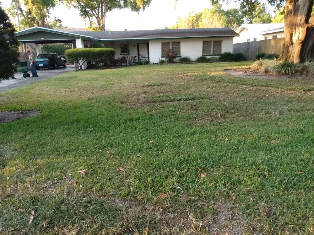 Trusted yard maintenance experts serving Eatonville, FL - A & T Lawn Care Services of Central Florida